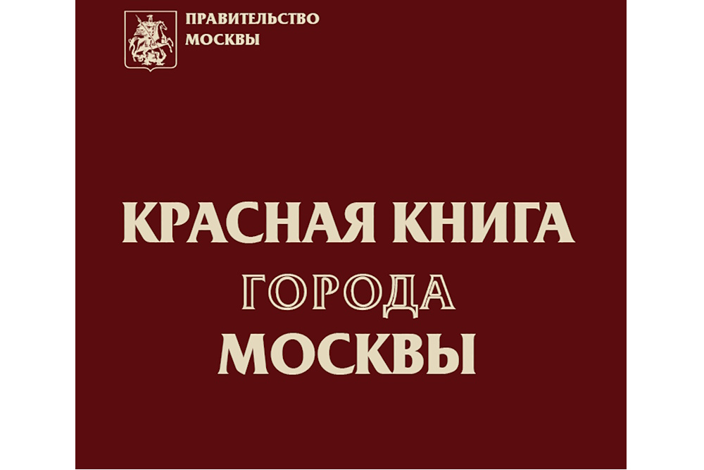 При переиздании Красной книги Москвы планируют использовать ИИ