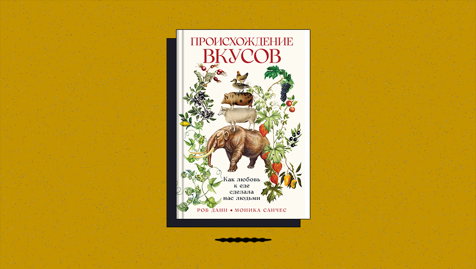 «Происхождение вкусов: Как любовь к еде сделала нас людьми»: как мозг запоминает и классифицирует запахи