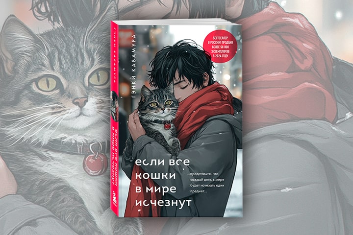 Книги, которые делают больно: «Если все кошки в мире исчезнут»